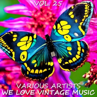 We Love Vintage Music, Vol. 25