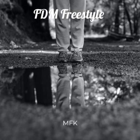 FDM Freestyle