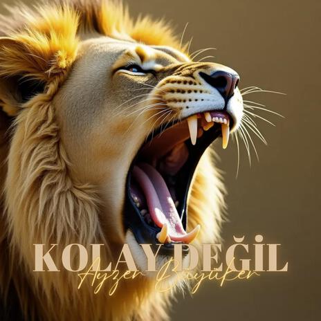 Kolay Değil | Boomplay Music