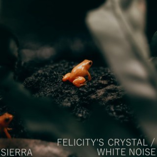 Felicity's Crystal / White Noise