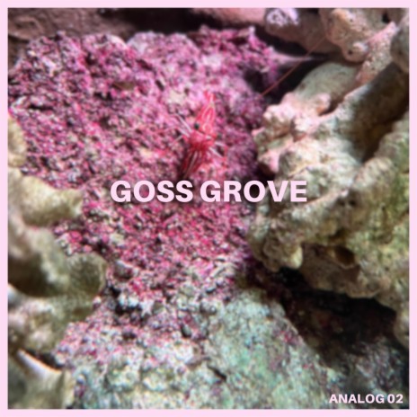 Goss Grove | Boomplay Music