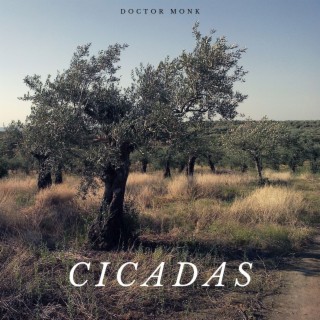 Cicadas