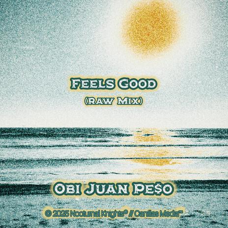 Feels Good (Raw Mix) | Boomplay Music