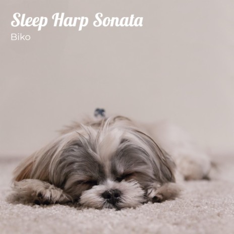Sleep Harp Sonata | Boomplay Music