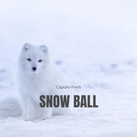 Snow Ball