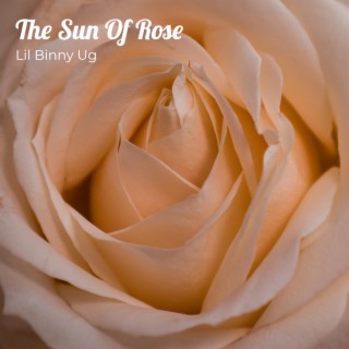The Sun Of Rose