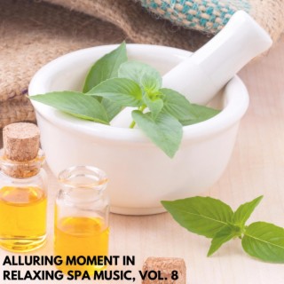 Alluring Moment in Relaxing Spa Music, Vol. 8