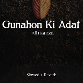 Gunahon Ki Adat Lofi