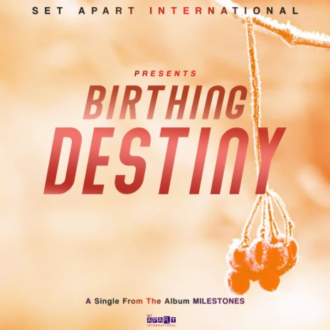 Birthing Destiny ft. P.S. Seven | Boomplay Music