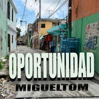 oportunidad