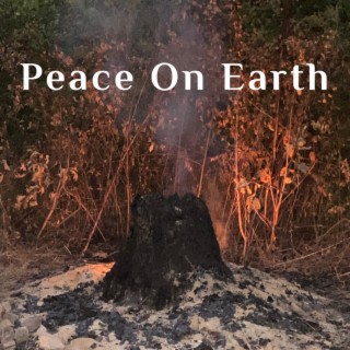 Peace On Earth lyrics | Boomplay Music