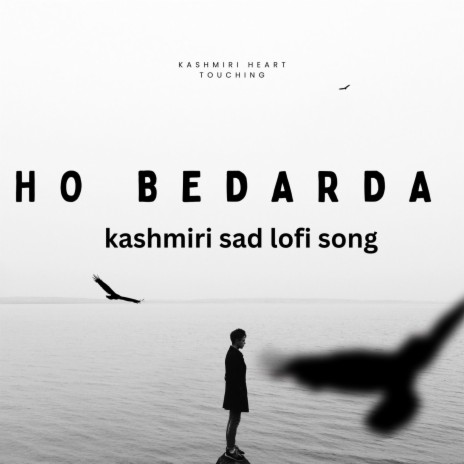 Ho Bedarda Ho sad heart touching song ft. sohial reshi