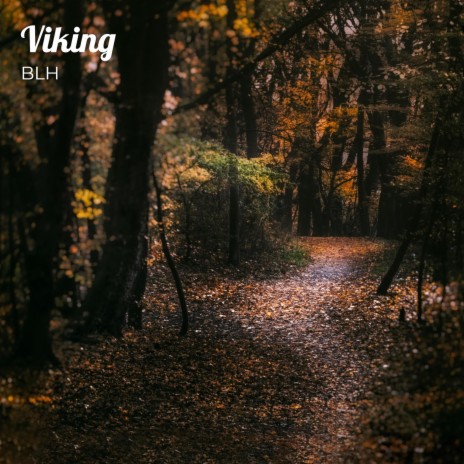 Viking | Boomplay Music