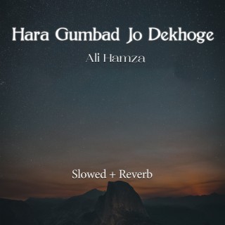 Hara Gumbad Jo Dekhoge Lofi