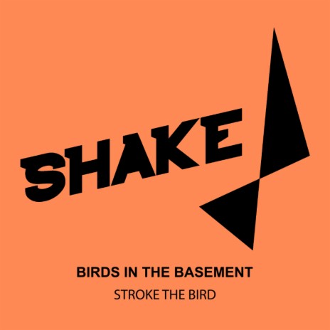 Stroke The Bird | Boomplay Music