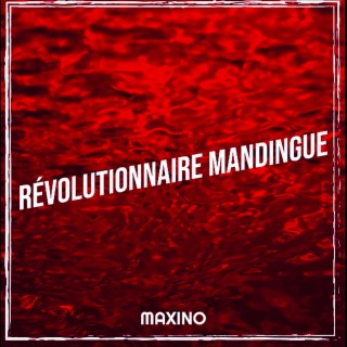 Révolutionnaire Mandingue