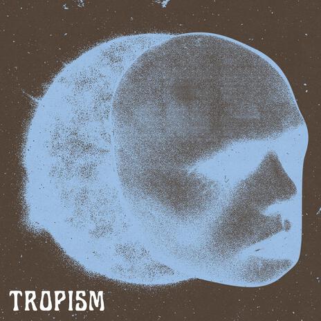 Tropism | Boomplay Music