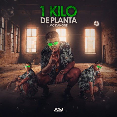 1 Kilo de Planta | Boomplay Music