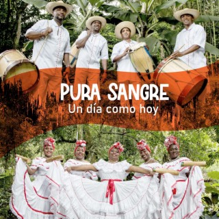 Pura Sangre