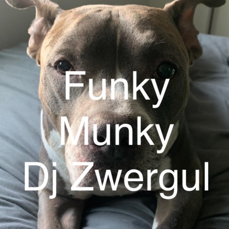 Funky Munky | Boomplay Music