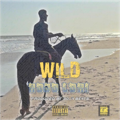 Wild | Boomplay Music