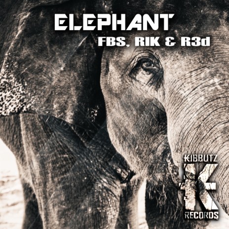 Elephant ft. RIK & R3D | Boomplay Music