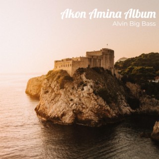 Akon Amina Album