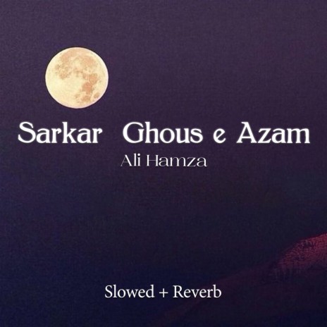 Sarkar Ghous e Azam Lofi | Boomplay Music