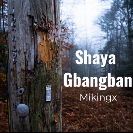 Shaya Gbangban ft. Toblez & Shotee | Boomplay Music