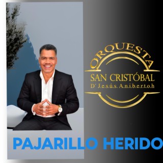 PAJARILLO HERIDO