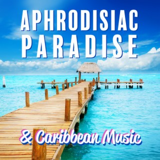 Playa Del Carmen – Aphrodisiac Paradise & Caribbean Music