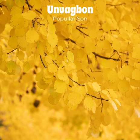 Unuagbon | Boomplay Music