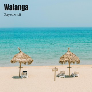 Walanga ft. Golden Salami lyrics | Boomplay Music