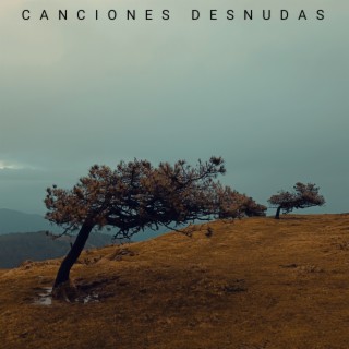 Canciones desnudas