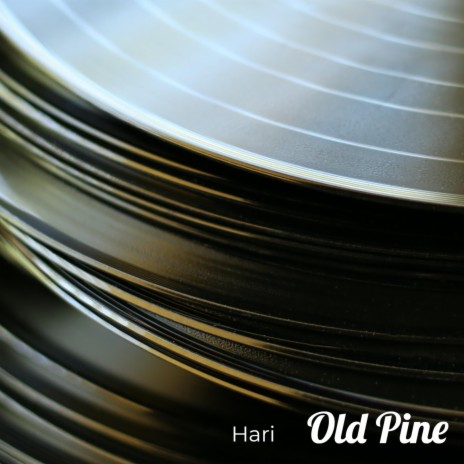 Old Pine | Boomplay Music