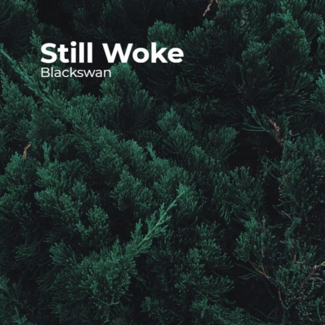 Still Woke | Boomplay Music