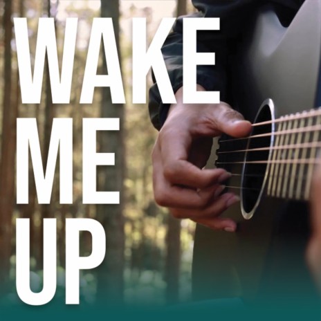 Wake Me Up (Acoustic Guitar)