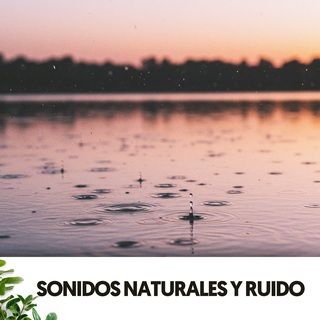 Sonidos Naturales y Ruido: Gotas de paz