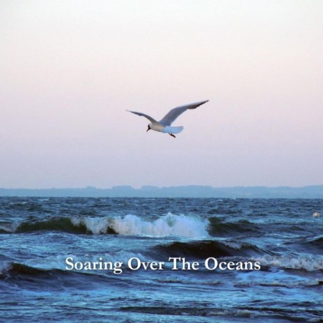 Soaring Over The Oceans