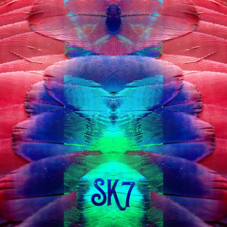 Sk7 | Boomplay Music