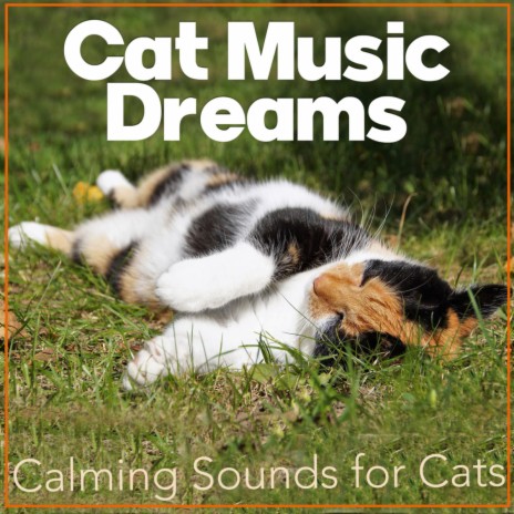 Hypnosis ft. Cat Music Dreams | Boomplay Music