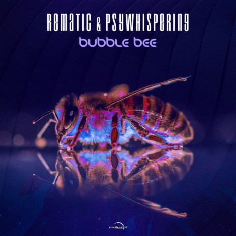 Bubble Bee ft. PsyWhispering | Boomplay Music