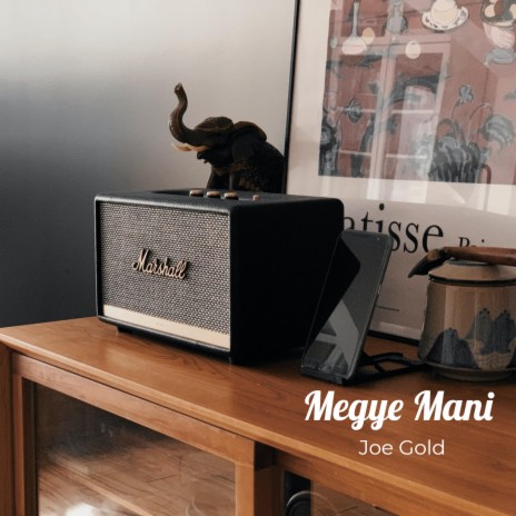 Megye Mani | Boomplay Music
