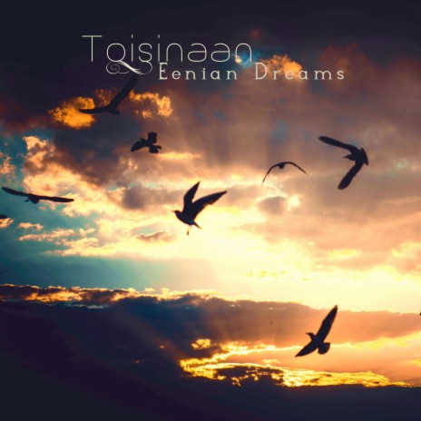 Toisinaan | Boomplay Music