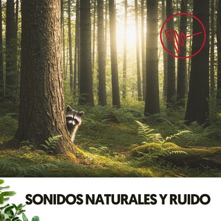 Sonidos Naturales y Ruido: La percusión natural