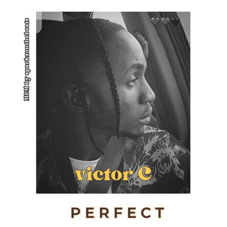 Perfect | Boomplay Music