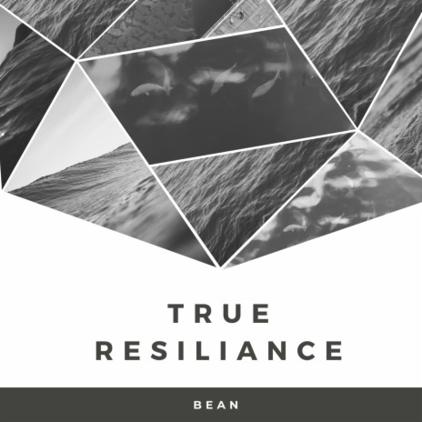 True Resilience | Boomplay Music