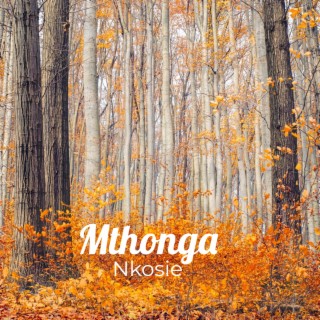 Mthonga