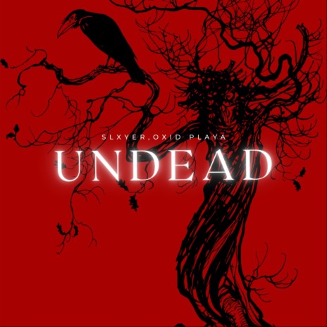 UNDEAD ft. Oxid Playa | Boomplay Music