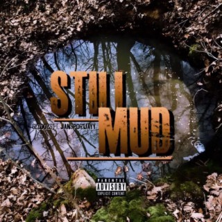 Still mud